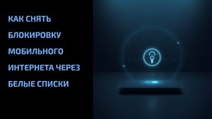 Подробнее о статье Как снять блокировку мобильного интернета через белые списки