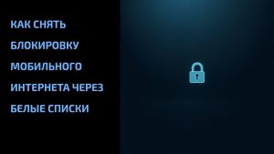 Подробнее о статье Как снять блокировку мобильного интернета через белые списки
